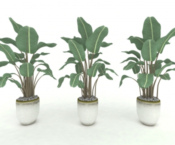Modern Potted Green Plant-ID:602250383