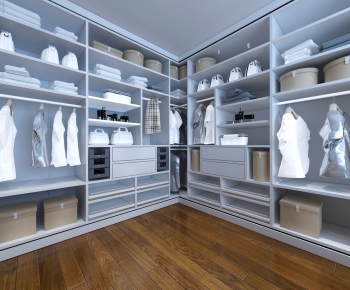 Modern Clothes Storage Area-ID:982707999