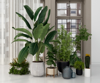 Modern Potted Green Plant-ID:704860127