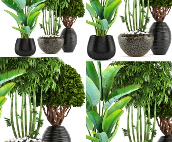 Modern Potted Green Plant-ID:617974581