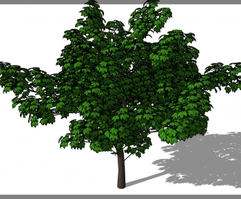 Modern Tree-ID:325372974