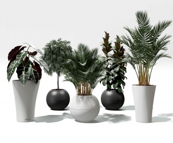 Modern Potted Green Plant-ID:195460515