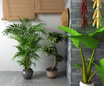 Modern Potted Green Plant-ID:680007826