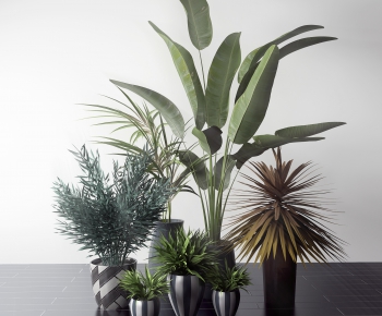 Modern Potted Green Plant-ID:871097387