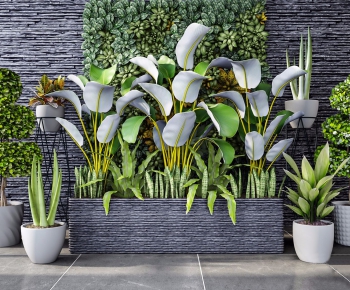 Modern Potted Green Plant-ID:959971423