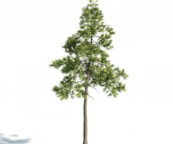 Modern Tree-ID:868699266