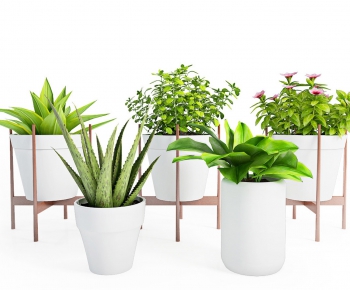 Modern Potted Green Plant-ID:589712388