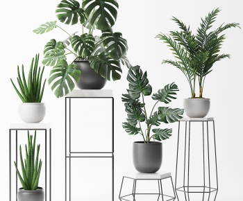 Modern Potted Green Plant-ID:663853954