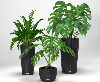 Modern Potted Green Plant-ID:538282364