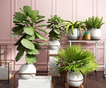 Modern Potted Green Plant-ID:431592585