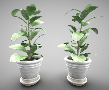 Modern Potted Green Plant-ID:743225313