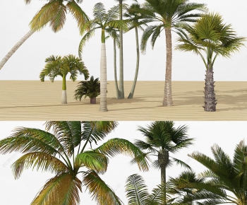 现代椰子树棕榈-ID:269184262