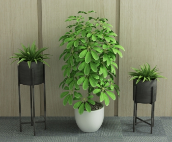 Modern Potted Green Plant-ID:606800322