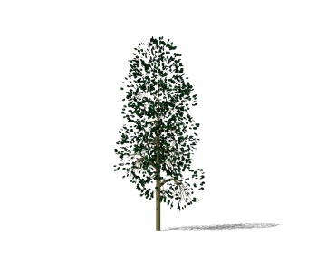 Modern Tree-ID:494908899