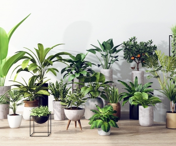 Modern Potted Green Plant-ID:707830182