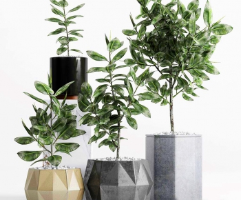 Modern Potted Green Plant-ID:113072812