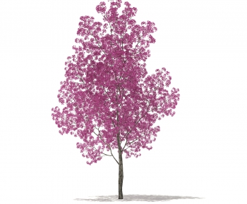 Modern Tree-ID:864449266