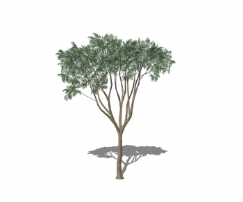 Modern Tree-ID:900310817