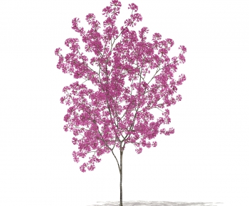 Modern Tree-ID:798500385