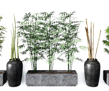 现代竹子组合-id:512038