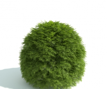 Modern Shrubbery-ID:527269861