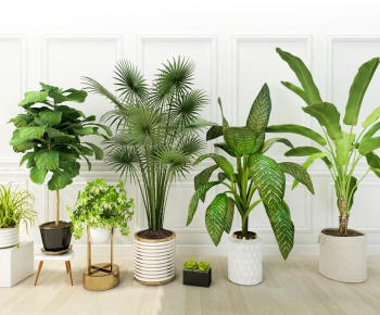 Modern Potted Green Plant-ID:412493175