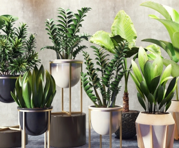Modern Potted Green Plant-ID:174214493