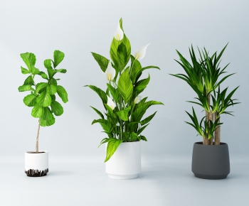Modern Potted Green Plant-ID:741025279