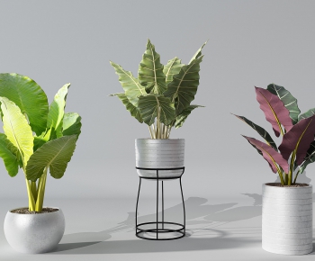 Modern Potted Green Plant-ID:701202565