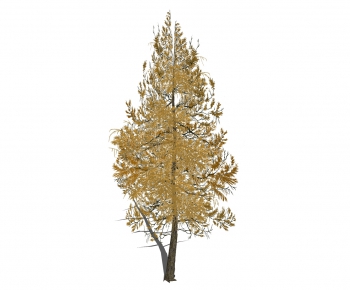 Modern Tree-ID:820041711