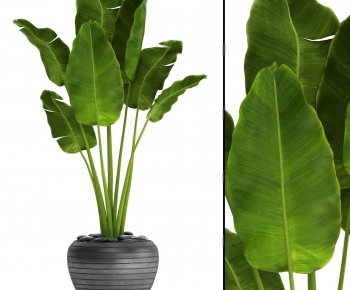 Modern Potted Green Plant-ID:712749772