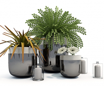 Modern Potted Green Plant-ID:525079275