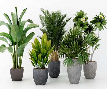 Modern Potted Green Plant-ID:910934691