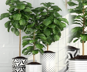 Modern Potted Green Plant-ID:100487566