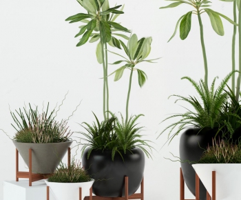 Modern Potted Green Plant-ID:462999686