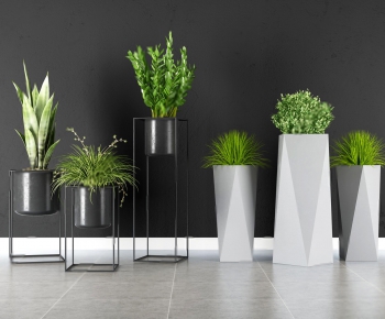 Modern Potted Green Plant-ID:234516938