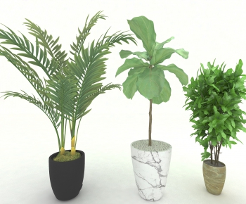 Modern Potted Green Plant-ID:111672168