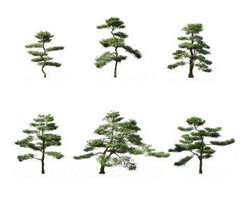 现代景观松树组合-ID:211099566
