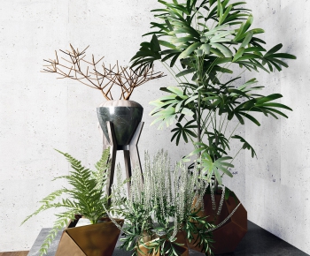 Modern Potted Green Plant-ID:866980986