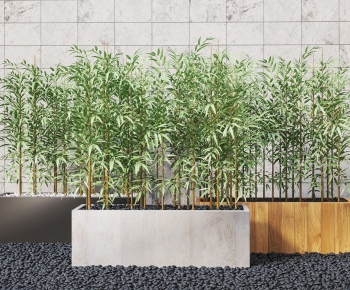 现代竹子盆栽植物石头组合-ID:997278482
