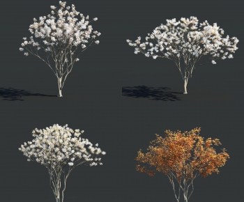 Modern Tree-ID:173749438