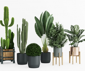 Modern Potted Green Plant-ID:836891452