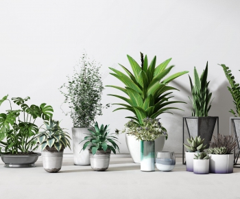 Modern Potted Green Plant-ID:664426479