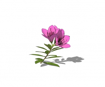 Modern Flowers-ID:138366858