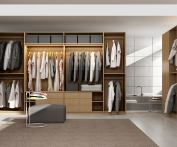 Modern Clothes Storage Area-ID:536196359