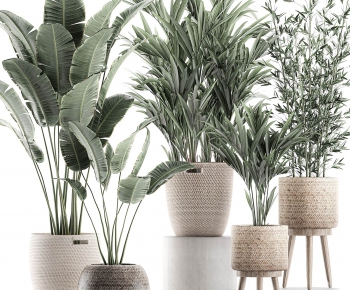 Modern Potted Green Plant-ID:234554392