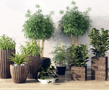 Modern Potted Green Plant-ID:304839656