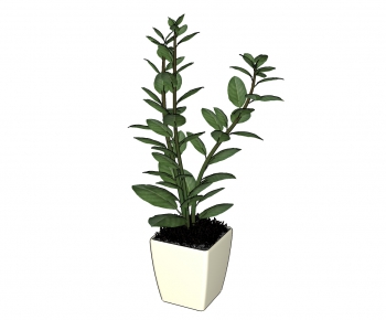 Modern Potted Green Plant-ID:175969163