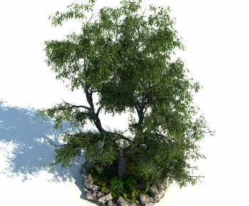 Modern Tree-ID:592751717