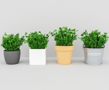 Modern Potted Green Plant-ID:239887311